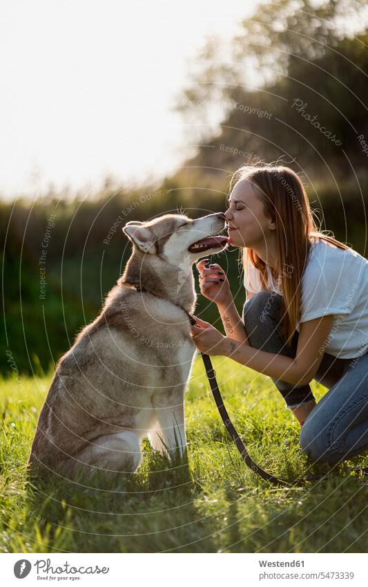Young woman nose to nose with her dog on a meadow animals creature creatures domestic animal pet Canine dogs T- Shirt t-shirts tee-shirt cuddle snuggle