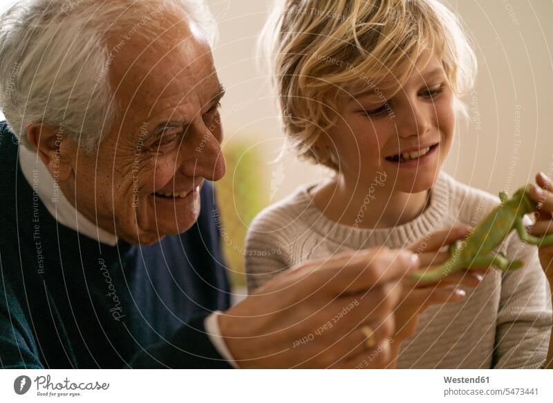 Happy grandfather and grandson playing with toy chameleon generation animals creature creatures chameleons jumper sweater Sweaters toys hold smile delight