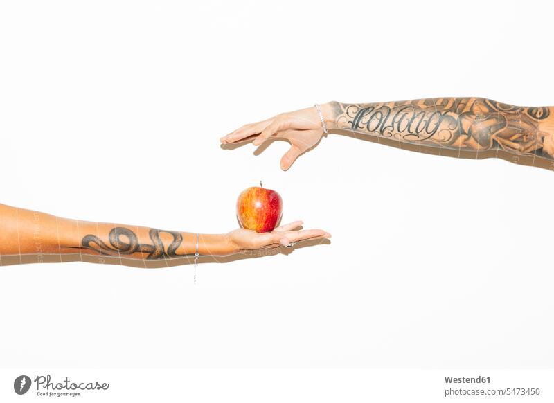 Woman's hand offering an apple to a man Apple Apples human hand hands human hands couple twosomes partnership couples Fruit Fruits Food foods food and drink