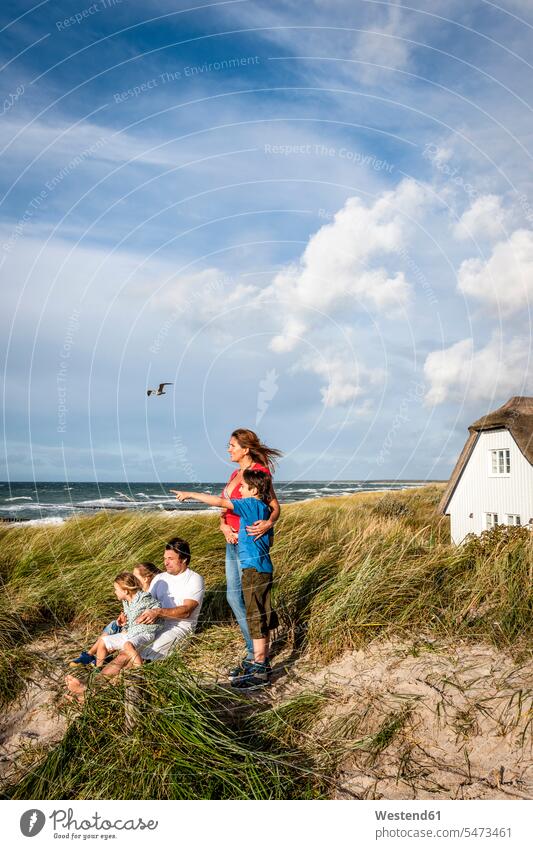 Family in a beach dune looking at view, Darss, Mecklenburg-Western Pomerania, Germany touristic tourists animals creature creatures aves birds gull gulls