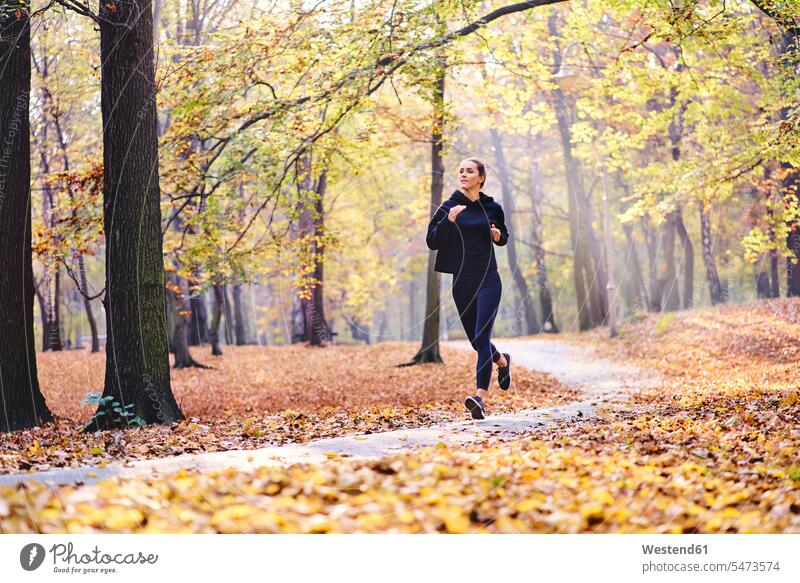 Young woman jogging in autumn forest work out working out human human being human beings humans person persons 1 one person only only one person adult grown-up
