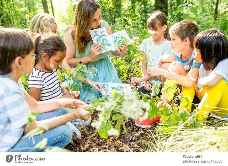 School children learning to recognize plants in nature instructor teachers images picture pictures drawings colour colours explore exploring Getaway Tour Tours