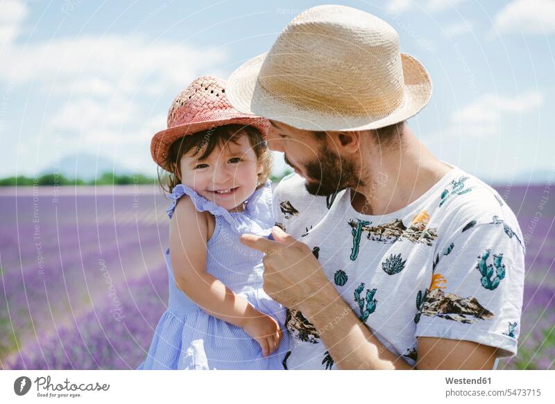 France, Provence, Valensole plateau, happy father and daughter in lavender fields in the summer Lavender Lavandula Lavenders daughters happiness summer time