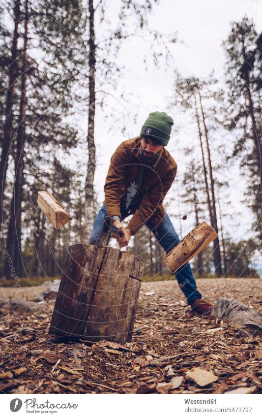Young man chopping woog in the forest standing woods forests young man young men chip chipping wooden males Adults grown-ups grownups adult people persons