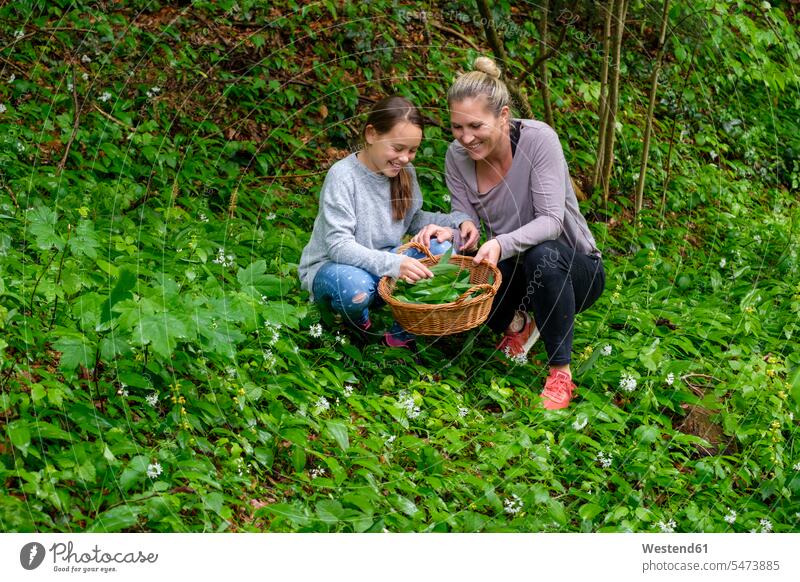 Mother and daughter picking wild garlic free time leisure time Plants Alimentation food Food and Drinks Nutrition foods Vegetables fresh Medical Plants