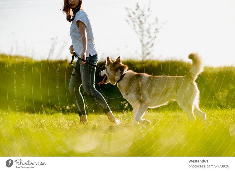 Young woman running with her dog on a meadow animals creature creatures domestic animal pet Canine dogs T- Shirt t-shirts tee-shirt in the evening Late Evening