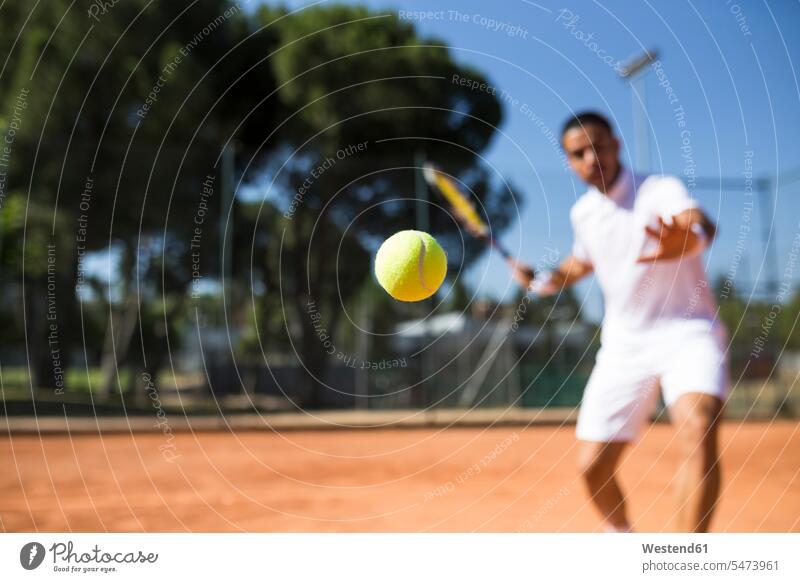 Tennis player during a tennis match, focus on tennis ball human human being human beings humans person persons caucasian appearance caucasian ethnicity european