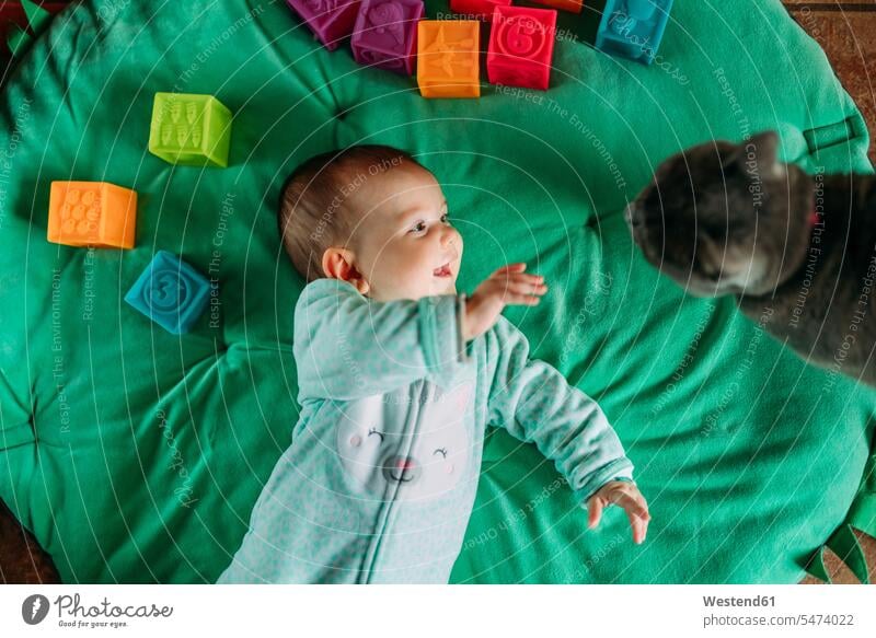 Happy baby girl lying on green mat watching cat cubes plastic toys play relax relaxing relaxation delight enjoyment Pleasant pleasure Cheerfulness exhilaration