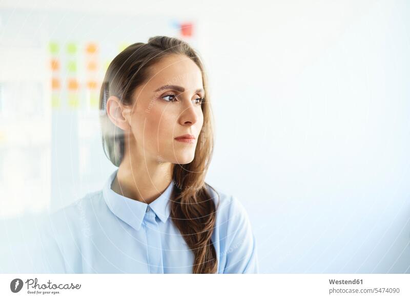 Portrait of young businesswoman looking away in office Occupation Work job jobs profession professional occupation business life business world business person