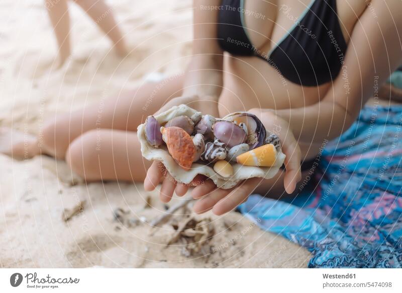 Young woman at the beach holding seashells vacation Holidays beaches conch conches young women young woman Travel females Adults grown-ups grownups adult people