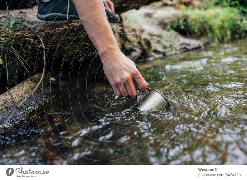 Young man's hand scooping fresh water from a brook, close-up human hand hands human hands men males brooks rivulet people persons human being humans