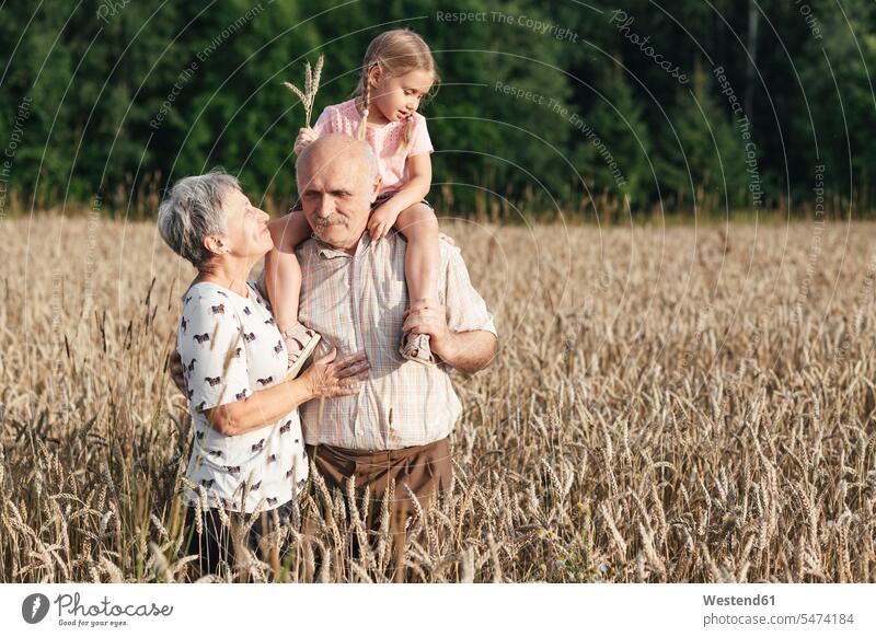 Family portrait of grandparents with their granddaughter in an oat field generation smile delight enjoyment Pleasant pleasure happy closeness propinquity