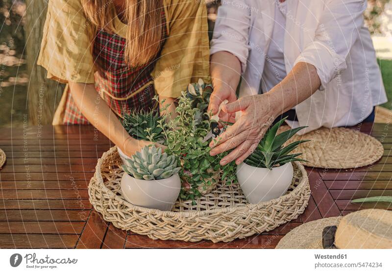 Mother with daughter cutting plants on table in yard color image colour image Spain leisure activity leisure activities free time leisure time casual clothing