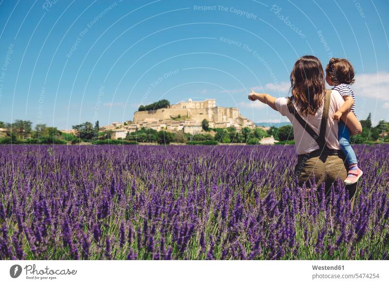 France, Grignan, back view of mother and little daughter standing together in lavender field looking at village villages mommy mothers ma mummy mama daughters