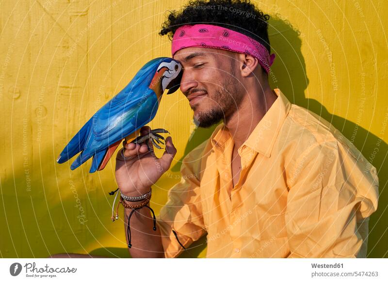 Young black man posing with a parrot in front of a yellow wall shirts hold cuddle snuggle snuggling smile delight enjoyment Pleasant pleasure happy closeness