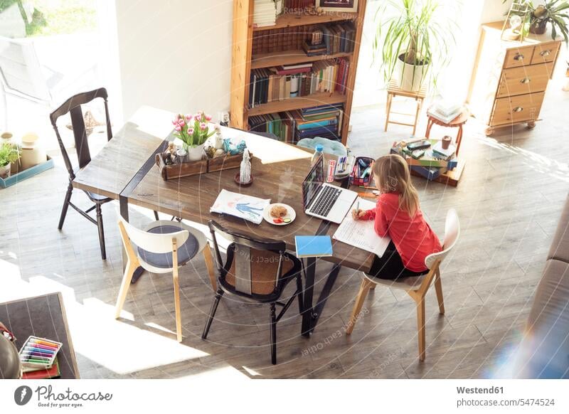 Girl studying on dining table at home color image colour image Germany indoors indoor shot indoor shots interior interior view Interiors casual clothing