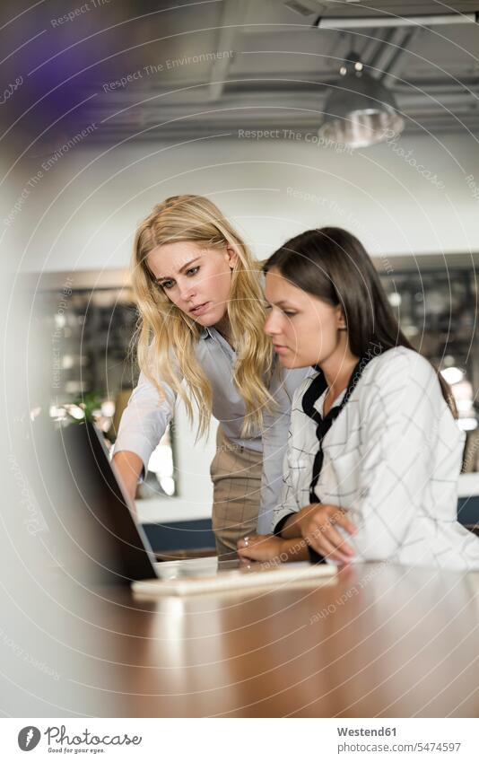 Two female colleagues discussing and working on laptop discussion businesswoman businesswomen business woman business women Female Colleague At Work