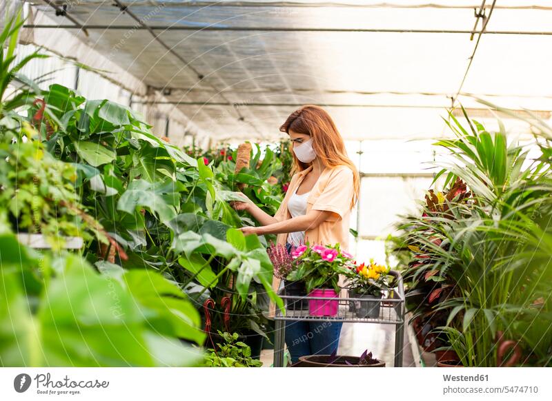 Businesswoman collecting plant on cart while standing at garden center color image colour image indoors indoor shot indoor shots interior interior view