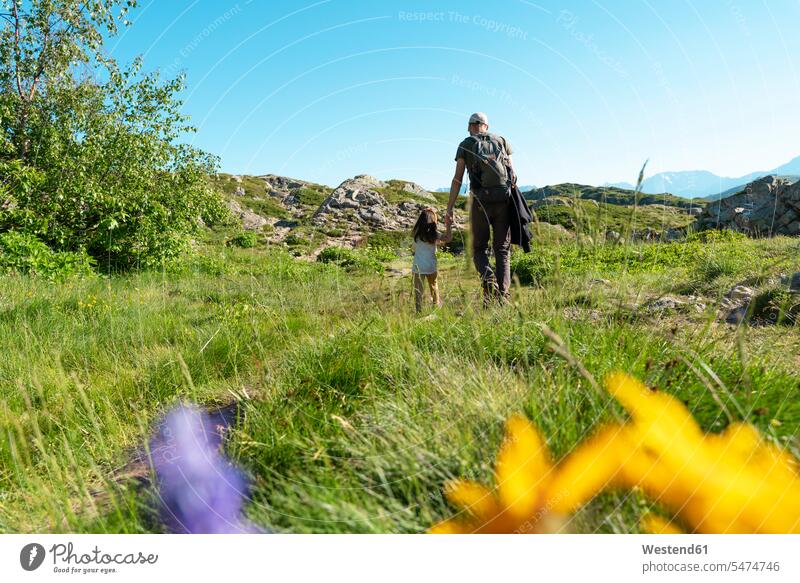 Father and daughter holding hands while walking on grass during summer color image colour image outdoors location shots outdoor shot outdoor shots day