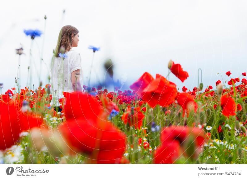 Woman walking amidst red poppy flowers on field against sky color image colour image Germany outdoors location shots outdoor shot outdoor shots day