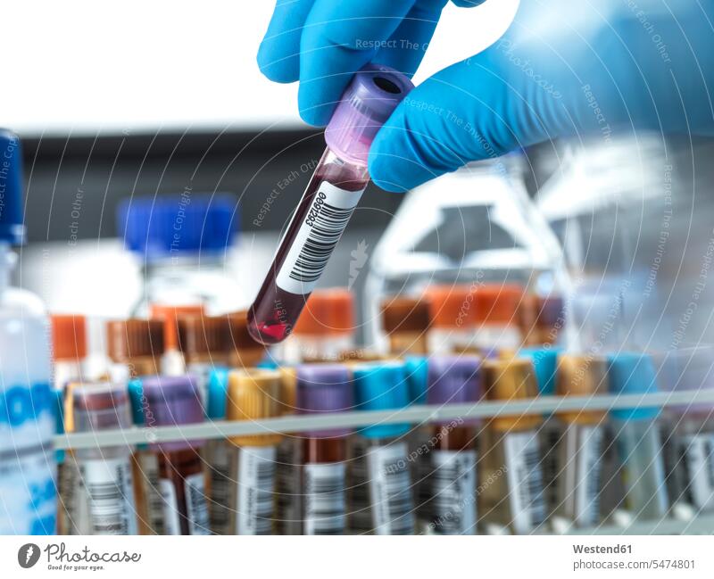 Male scientist holding blood sample vial in laboratory color image colour image science scientific sciences indoors indoor shot indoor shots interior