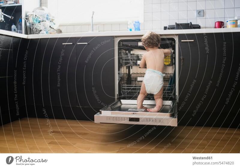 Back view of baby boy wearing diaper exploring dishwasher in the kitchen infants nurselings babies baby boys male Exploration explore domestic kitchen kitchens