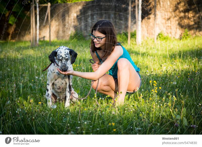 Girl feeding Dalmatian in the garden smiling smile Dalmatian Dog dog dogs Canine girl females girls gardens domestic garden bloodhound bloodhounds Hunting Dogs