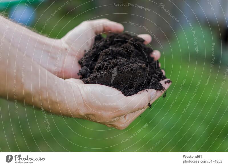 Close-up of man holding soil in garden human human being human beings humans person persons caucasian appearance caucasian ethnicity european 1 one person only