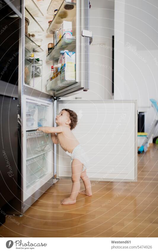 Baby boy wearing diaper exploring refrigerator in the kitchen Fridge Ice box Icebox Refrigerators Ice boxes Fridges Iceboxes domestic kitchen kitchens baby boys