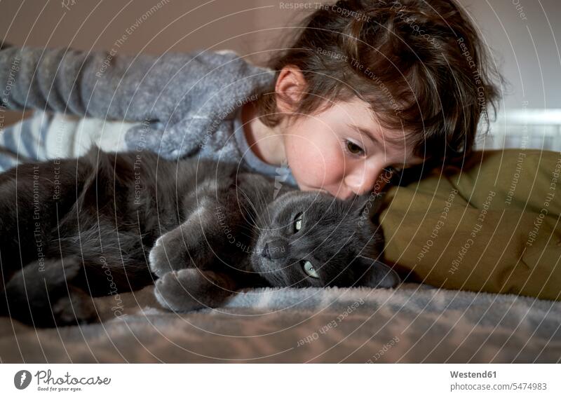 Toddler girl kissing grey cat lying on bed cats animal-loving fond of animals love of animals one animal 1 copy space domestic life domestic scene at home