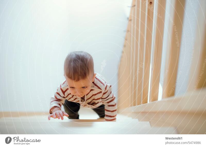 Toddler boy climbing up stairs at home boys males stairway child children kid kids people persons human being humans human beings front view frontal