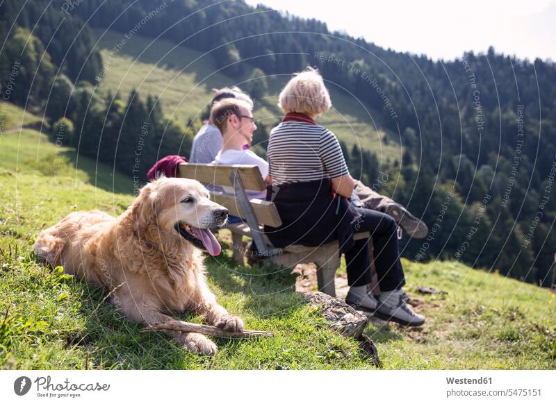 Austria, Tyrol, Kaiser mountains, hikers with dog resting on a bench in the mountains wanderers dogs Canine benches mountain range mountain ranges hiking pets