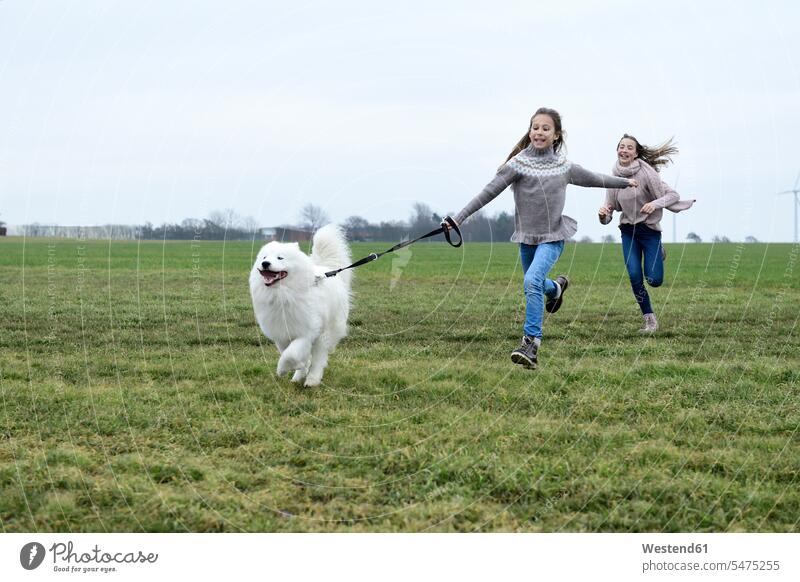 Two girls running on a meadow with dog having fun Fun funny meadows females dogs Canine child children kid kids people persons human being humans human beings