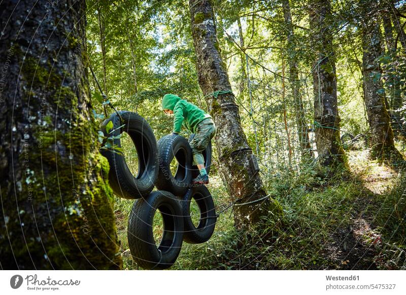 Boy balancing on tyres at an adventure park in forest boy boys males balance woods forests tire tires high rope course high ropes course child children kid kids