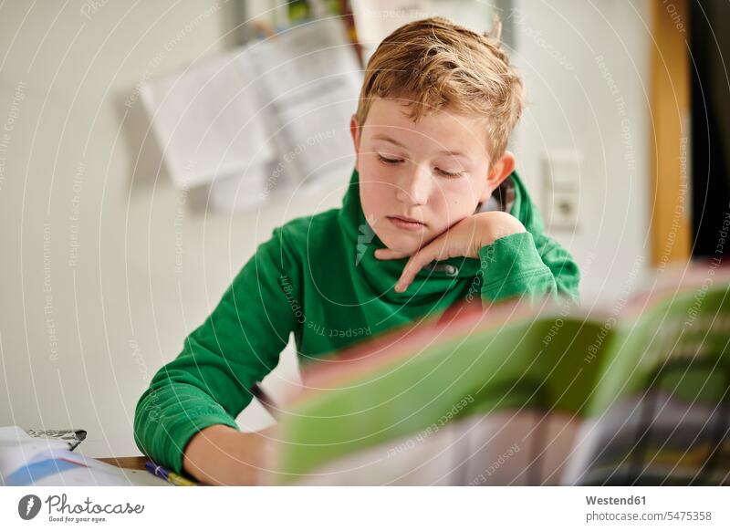 Dedicated boy studying at home color image colour image indoors indoor shot indoor shots interior interior view Interiors day daylight shot daylight shots