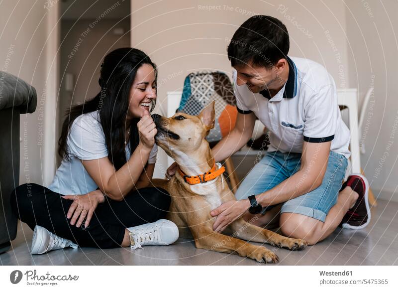 Couple playing with dog while sitting on floor at home color image colour image indoors indoor shot indoor shots interior interior view Interiors day