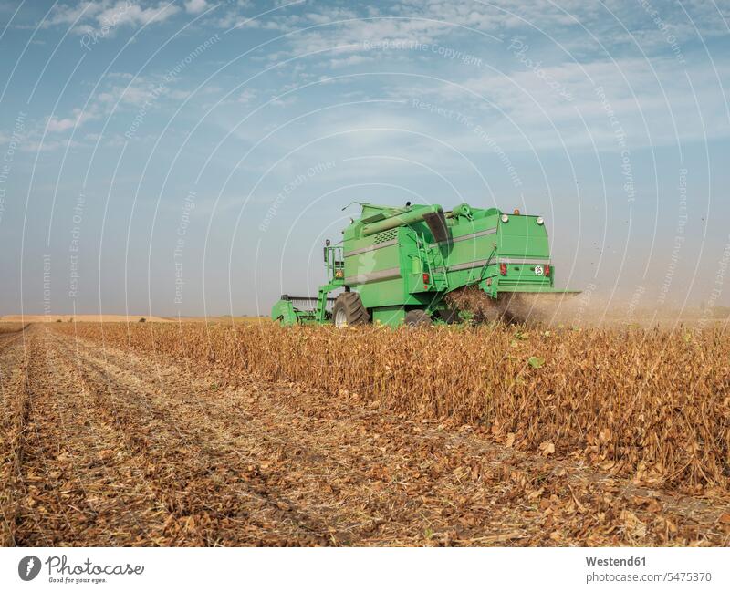 Serbia, Vojvodina, Combine harvester in soybean field green brown Soybeans outdoors outdoor shots location shot location shots cropland cultivation area