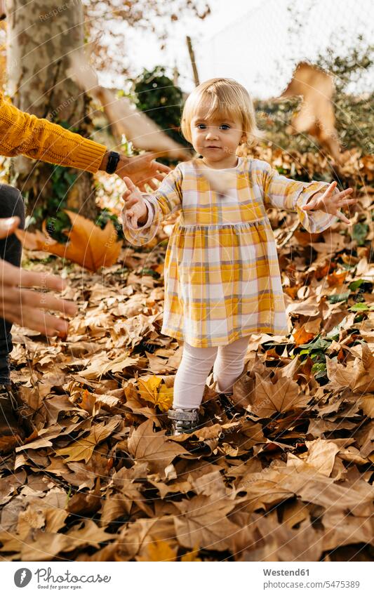 Father and daughter enjoying a morning day in the park in autumn, throwing autumn leaves Joy enjoyment pleasure Pleasant delight Leaf Leaves father fathers