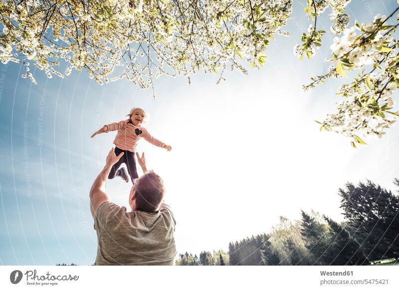 Father throwing little daughter in air human human being human beings humans person persons caucasian appearance caucasian ethnicity european 2 2 people