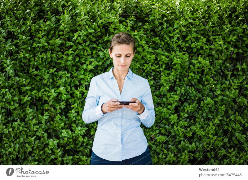 Woman standing at a hedge using cell phone hedges Hedgerow mobile phone mobiles mobile phones Cellphone cell phones woman females women telephones communication