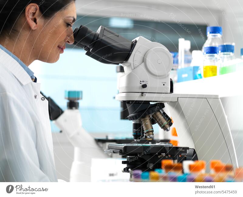 Lab technician viewing sample slides containing blood and human tissue for medical analysis in the laboratory Occupation Work job jobs profession