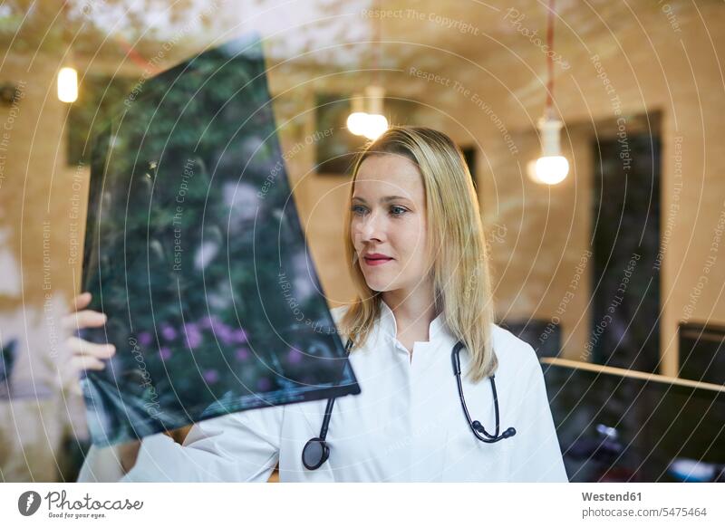 Female doctor looking at x-ray image behind windowpane x-rays radiography radiographies woman females women eyeing window glass window glasses windowpanes