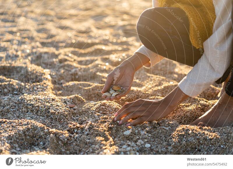 Woman collecting seashells on the beach beaches sand sandy mid adult women mid adult woman mid-adult women mid-adult woman conch conches collected females