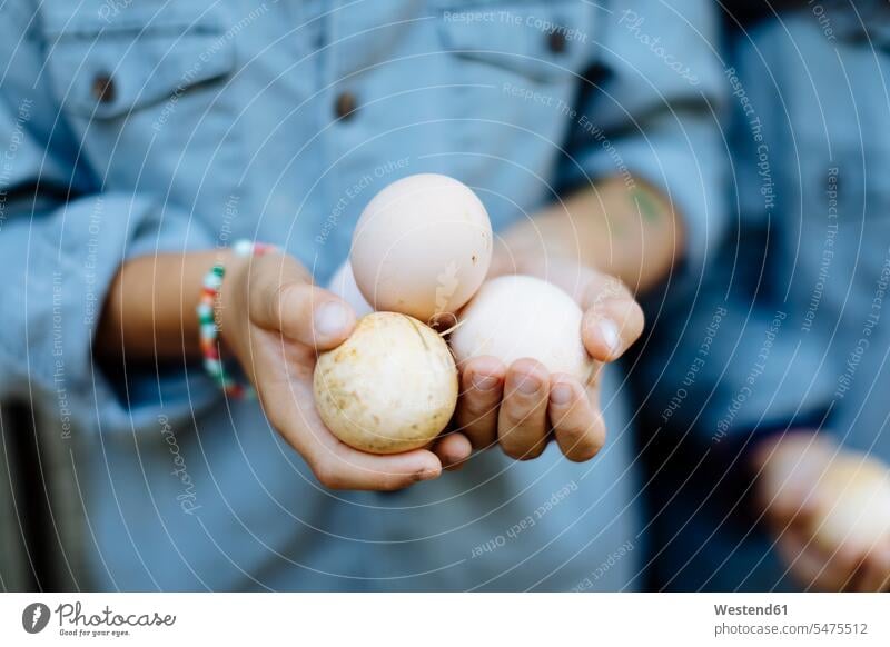 Close-up of two kids holding chicken eggs human human being human beings humans person persons caucasian appearance caucasian ethnicity european 2 2 people