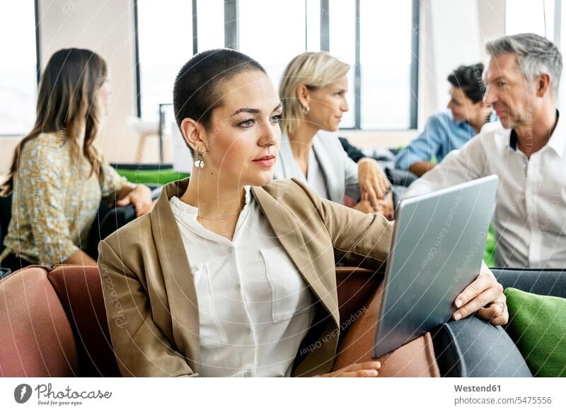 Business people meeting in sitting corner, talking Occupation Work job jobs profession professional occupation business life business world business person