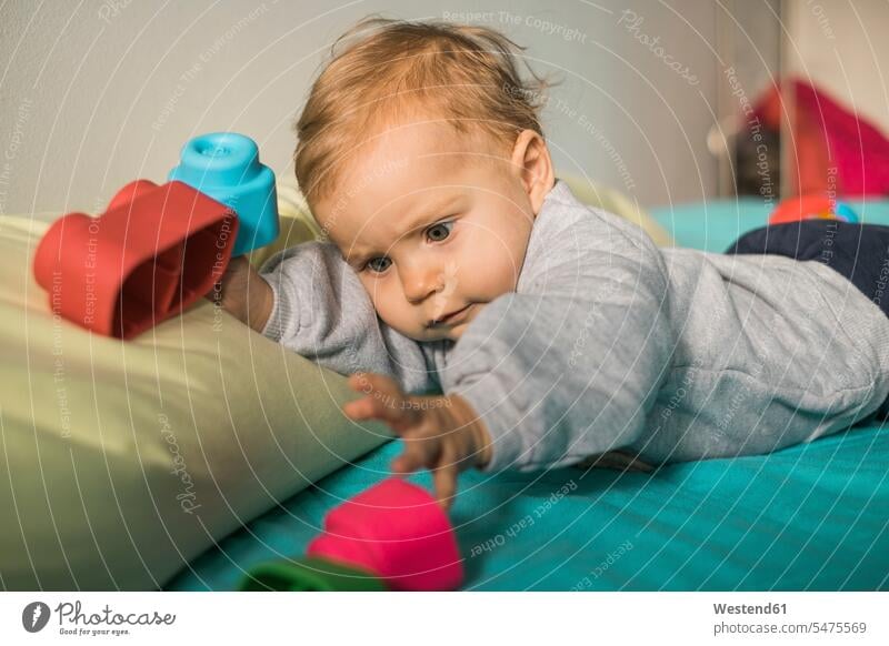 Portrait of baby girl lying on bed playing with plastic toy toys laying down lie lying down beds infants nurselings babies gripping grabbing baby girls female
