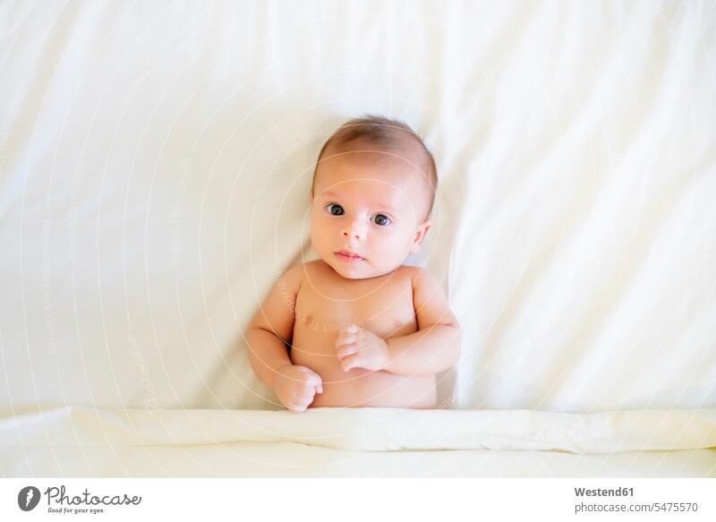 Portrait of baby boy lying on white bed sheet Bed - Furniture beds relax relaxing relaxation laying down lie lying down simple look looks indoor indoor shot