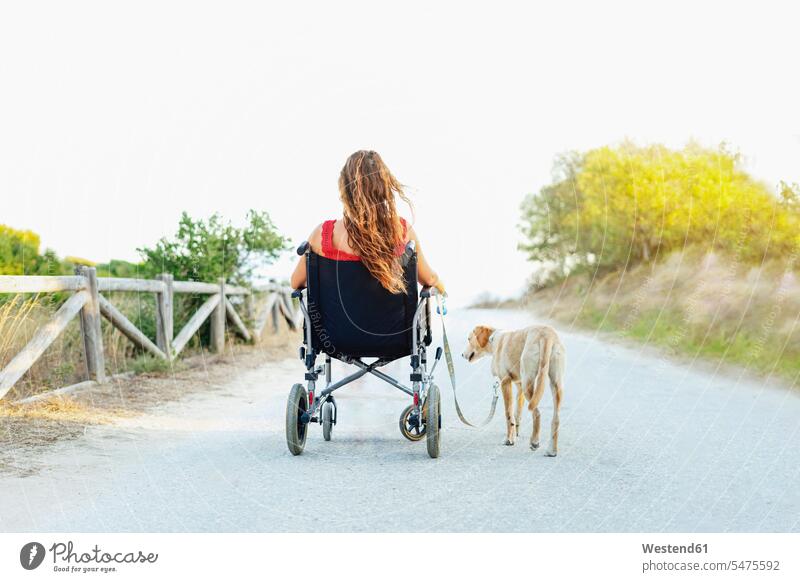 Woman in wheelchair with dog on road against clear sky color image colour image Spain leisure activity leisure activities free time leisure time casual clothing