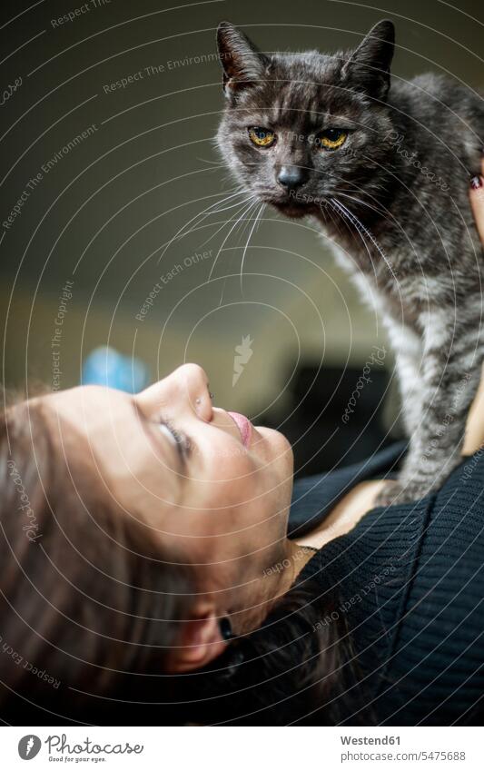 Portrait of grey tabby cat and owner at home cats woman females women gray animal portrait animal portraits pets creatures animals Adults grown-ups grownups