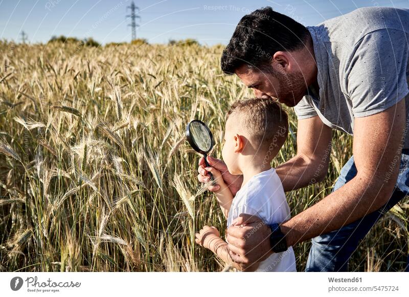 Father and son examining crops with magnifying glass in agricultural field color image colour image Spain leisure activity leisure activities free time
